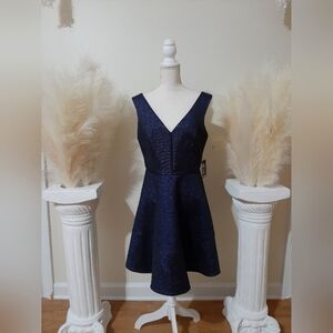 Express Dark Blue Dress